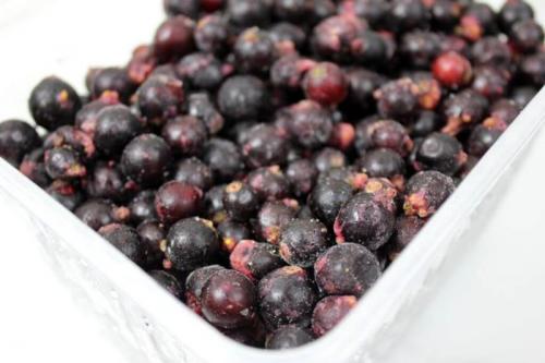 Замороженные ягоды срок хранения. Способы, как хранить в морозилке?