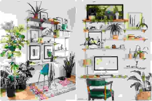 Комнатные растения в интерьере дома. Растения в современном интерьере: композиционные группы 22 Комнатные растения в интерьере дома. Растения в современном интерьере: композиционные группы 22