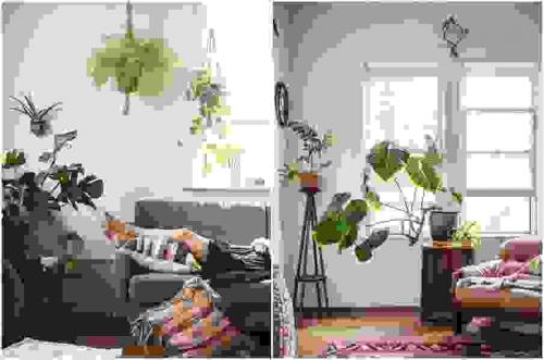 Комнатные растения в интерьере дома. Растения в современном интерьере: композиционные группы 20 Комнатные растения в интерьере дома. Растения в современном интерьере: композиционные группы 20