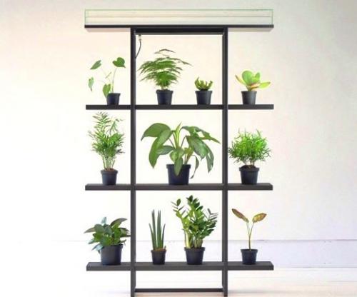 Зонирование комнатными растениями. Как зонировать комнату с помощью растений