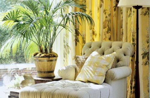 Комнатные растения в интерьере дома. Растения в современном интерьере: композиционные группы 03 Комнатные растения в интерьере дома. Растения в современном интерьере: композиционные группы 03