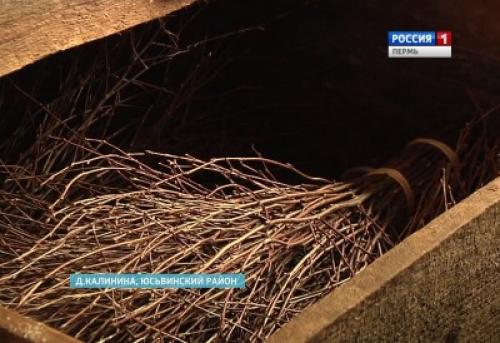 Как сделать метлу из веток. Hand-made: Правильная метла