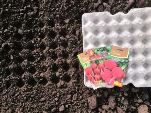 Использование яичных лотков. Удобные и полезные приспособления из яичных лотков на участке