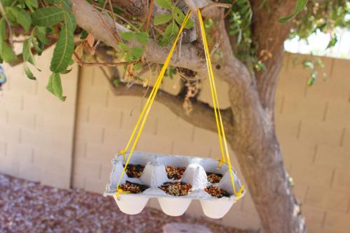 Использование яичных лотков. Удобные и полезные приспособления из яичных лотков на участке