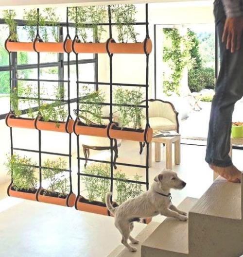 Зонирование комнатными растениями. Как зонировать комнату с помощью растений