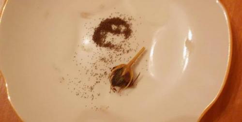 Эустома золушка. Выращивание Лизиантуса из семян