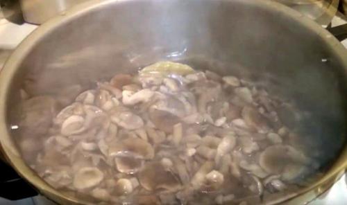 Маринованные грибы с луком на зиму. Как мариновать опята с луком и чесноком на зиму