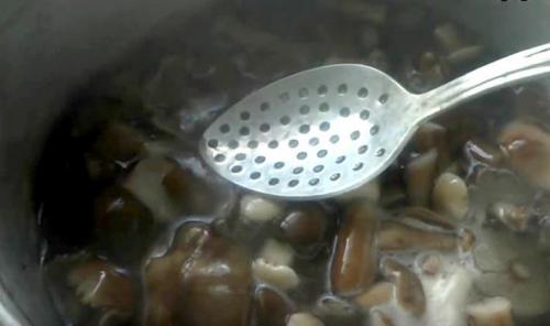 Маринованные грибы с луком на зиму. Как мариновать опята с луком и чесноком на зиму