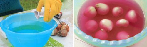 Тюльпаны в горшке уход. Волшебная клумба на подоконнике: как посадить и вырастить тюльпаны в домашних условиях