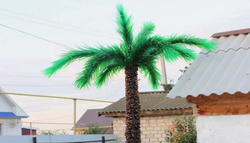 Мини пальма из пластиковых бутылок. Как сделать пальму из пластиковых бутылок пошагово: с фото