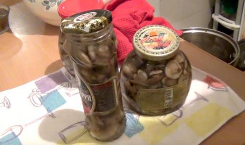 Маринованные грибы с луком на зиму. Как мариновать опята с луком и чесноком на зиму