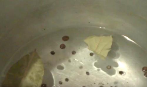 Маринованные грибы с луком на зиму. Как мариновать опята с луком и чесноком на зиму