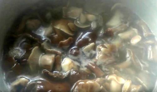 Маринованные грибы с луком на зиму. Как мариновать опята с луком и чесноком на зиму