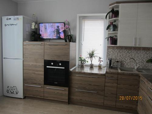 Салатовые шторы на кухню. Какие шторы можно выбрать для кухни