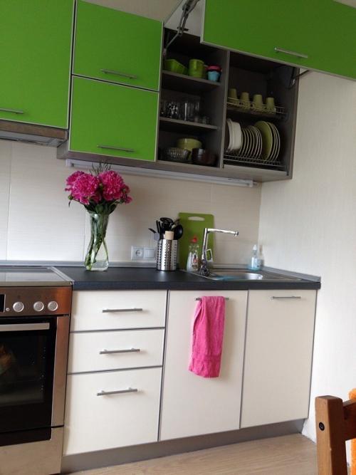 Кухня с зелеными стенами. Преимущества бело-зеленых тонов на кухне