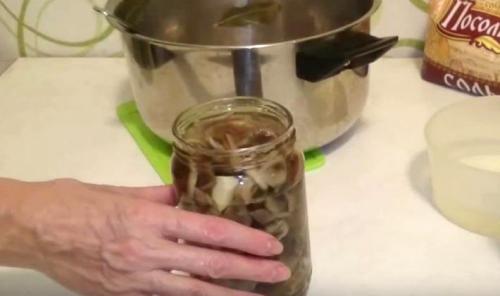Маринованные грибы с луком на зиму. Как мариновать опята с луком и чесноком на зиму