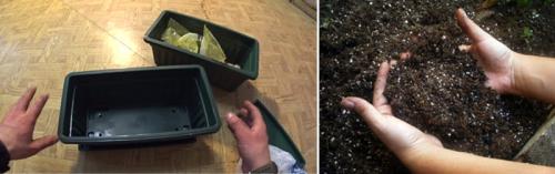 Тюльпаны в горшке уход. Волшебная клумба на подоконнике: как посадить и вырастить тюльпаны в домашних условиях