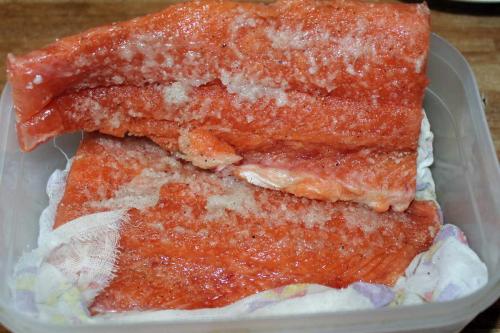 Как засолить красную рыбу большим куском. Красная рыба сухого посола