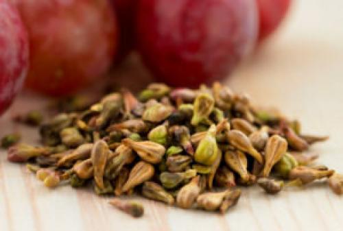 Можно ли есть виноград с косточками. Полезные свойства виноградных косточек, можно ли их есть, противопоказания