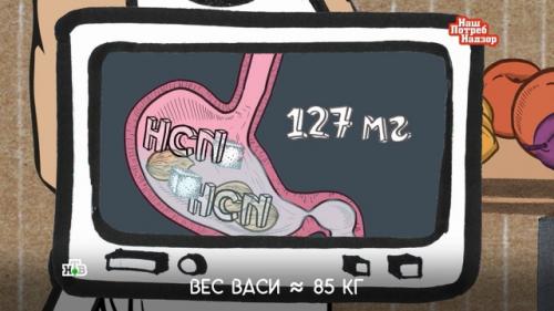 Можно ли арбуз есть с косточками. Можно ли есть арбузные семечки 13 Можно ли арбуз есть с косточками. Можно ли есть арбузные семечки 13