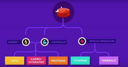 Красное мясо вред и польза. Вредно. Свинина и говядина вызывают рак 01 Красное мясо вред и польза. Вредно. Свинина и говядина вызывают рак 01