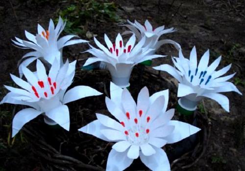 Ростовые цветы из пластиковых бутылок. 7 способов научиться делать цветы из пластиковых бутылок своими руками