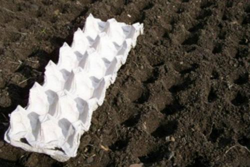 Поделки от упаковки от яиц. Оригинальные поделки, которые можно смастерить из обычных картонок для яиц 52 Поделки от упаковки от яиц. Оригинальные поделки, которые можно смастерить из обычных картонок для яиц 52