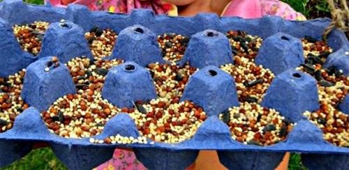 Лайфхаки из коробок для яиц. Лайфхак! Не выкидывайте яичные коробки