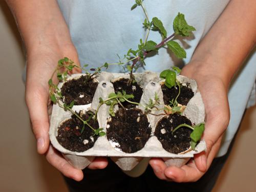 Поделки от упаковки от яиц. Оригинальные поделки, которые можно смастерить из обычных картонок для яиц 55 Поделки от упаковки от яиц. Оригинальные поделки, которые можно смастерить из обычных картонок для яиц 55