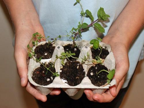 Поделки от упаковки от яиц. Оригинальные поделки, которые можно смастерить из обычных картонок для яиц 47 Поделки от упаковки от яиц. Оригинальные поделки, которые можно смастерить из обычных картонок для яиц 47