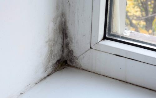 Можно ли зимой устанавливать пластиковые окна в частном доме. Конденсат на окнах и плесень на откосах: причины и решение проблемы