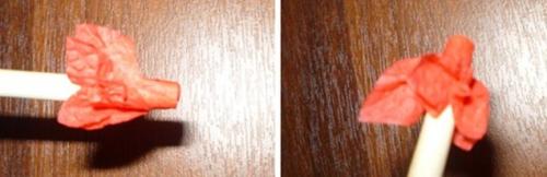 Топиарий в подарок на день рождения женщине. Сердце из подручных материалов в домашних условиях ко Дню влюбленных (14 февраля)