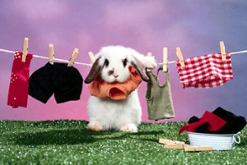 Где сушить белье в маленькой квартире. Где сушить бельё? Лучший вариант