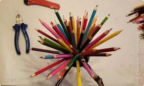 Топиарий в подарок учителю на день рождения. Подарок на день учителя