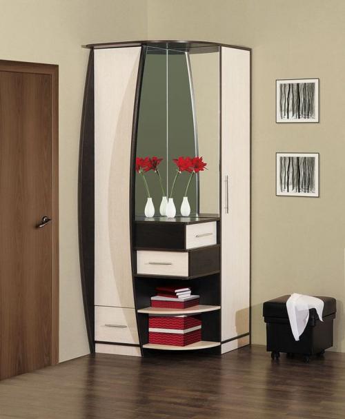 Шкаф купе в прихожую с зеркалом. Виды