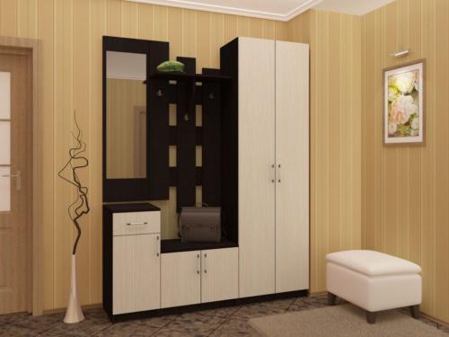 Шкаф купе для узкой прихожей. Особенности и преимущества