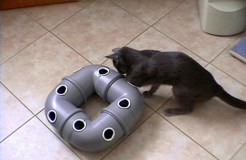 Как сделать игрушку для кота из киндера. Как сделать игрушку для кота из подручных средств