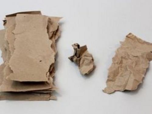 Декоративные пальмы своими руками. Как сделать натуралистичную высокую и объемную пальму из бумаги