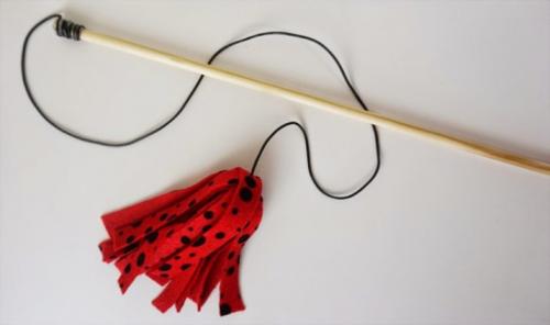 Игрушки для кошек своими руками из подручных средств в домашних условиях. Простые идеи отличных игрушек для котов, созданных из подручных материалов