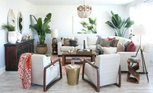 Композиции из комнатных растений в интерьере. Роль комнатных растений в интерьере