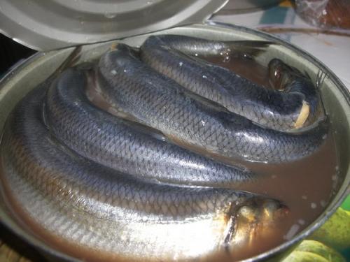 Как быстро почистить селедку одним движением. Как быстро почистить селедку. Хитрый способ