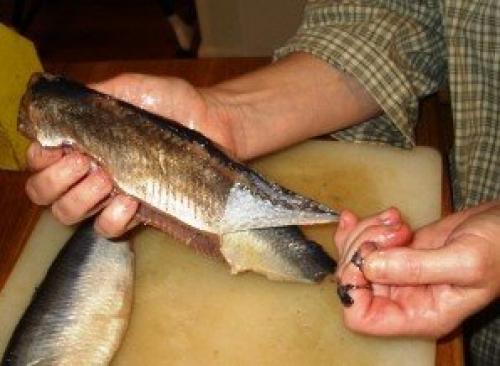 Как отделить селедку от костей одним движением. Как правильно разделать селедку, чтобы остались все самые жирные и вкусные части рыбы?