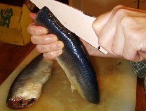 Как отделить селедку от костей одним движением. Как правильно разделать селедку, чтобы остались все самые жирные и вкусные части рыбы?