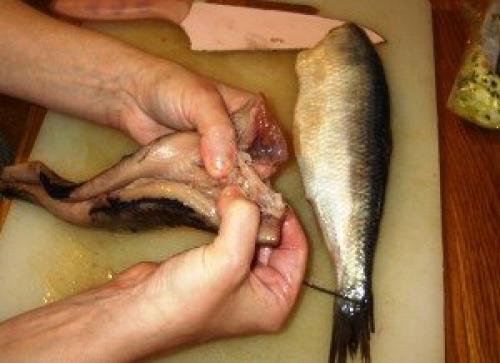 Как отделить селедку от костей одним движением. Как правильно разделать селедку, чтобы остались все самые жирные и вкусные части рыбы?