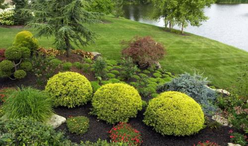 Клумба на газоне своими руками. Красивый цветник в вашем саду: как оформить миксбордер (с фото и видео)