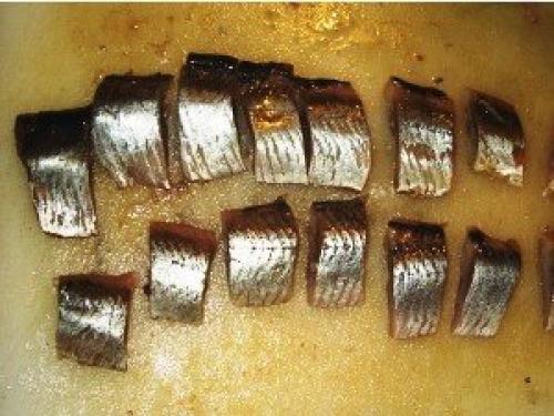 Как отделить селедку от костей одним движением. Как правильно разделать селедку, чтобы остались все самые жирные и вкусные части рыбы?