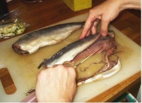Как отделить селедку от костей одним движением. Как правильно разделать селедку, чтобы остались все самые жирные и вкусные части рыбы?