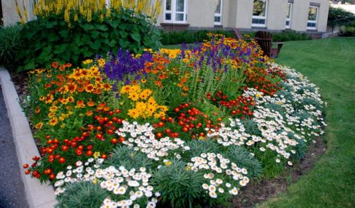 Клумба на газоне своими руками. Красивый цветник в вашем саду: как оформить миксбордер (с фото и видео)