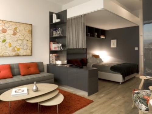 Как разделить спальню и гостиную в одной комнате. Рекомендации по зонированию комнат 11 Как разделить спальню и гостиную в одной комнате. Рекомендации по зонированию комнат 11