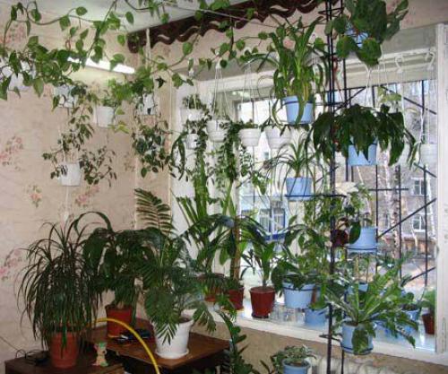 Потеют пластиковые окна в квартире изнутри. Почему потеют пластиковые окна в квартире?